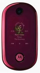   Motorola U9 MOTO roze bloom