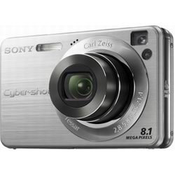Цифрові фотоапарати Sony Cybershot DSC-W130 Silver