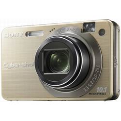 Цифрові фотоапарати Sony Cybershot DSC-W170 Gold