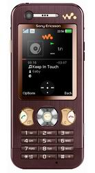 Мобільні телефони SonyEricsson W890i mocha brown