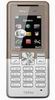   SonyEricsson T280i copper on silver